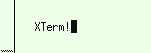 xterm